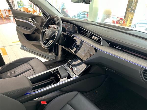 µe-tron() 2019 55 quattro ʱ