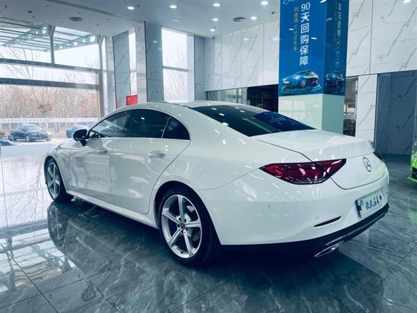 CLS 2018 CLS 300 