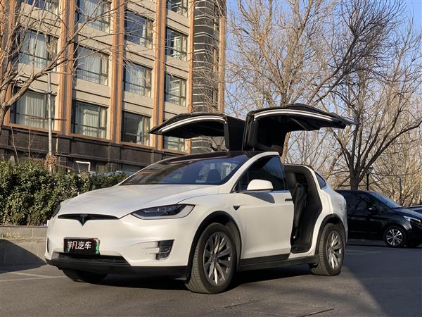 ˹ Model X 2017 Model X 100D 