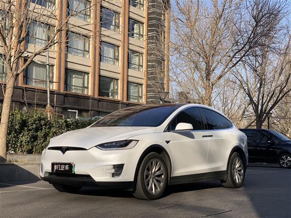 ˹ Model X 2017 Model X 100D 