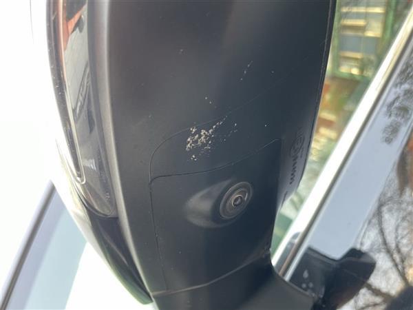  2019 ˫ 2.5L HV