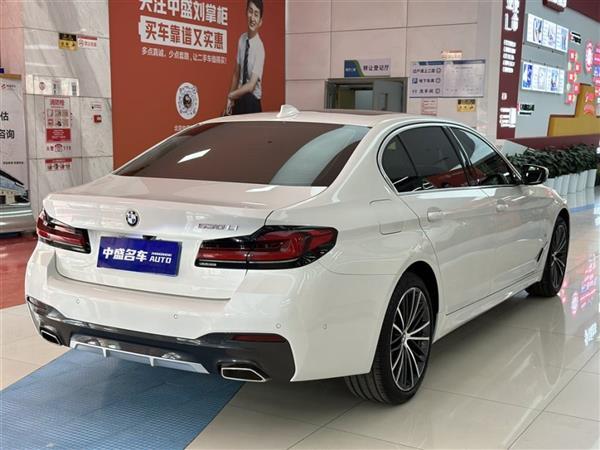 5ϵ 2021 Ŀ 530Li  M˶װ