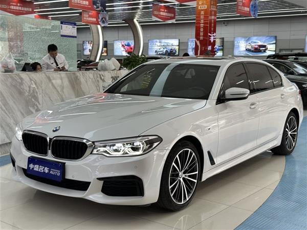 5ϵ 2019 Ŀ 530Li  M˶װ