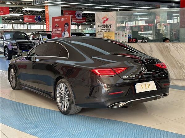 CLS 2020 CLS 300 