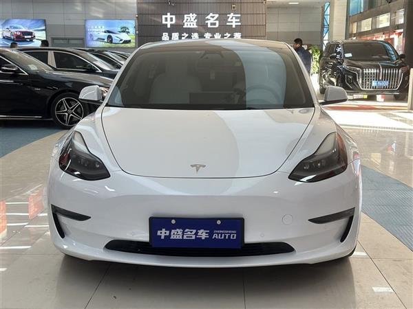 Model 3 2021 Performanceȫ 3D6