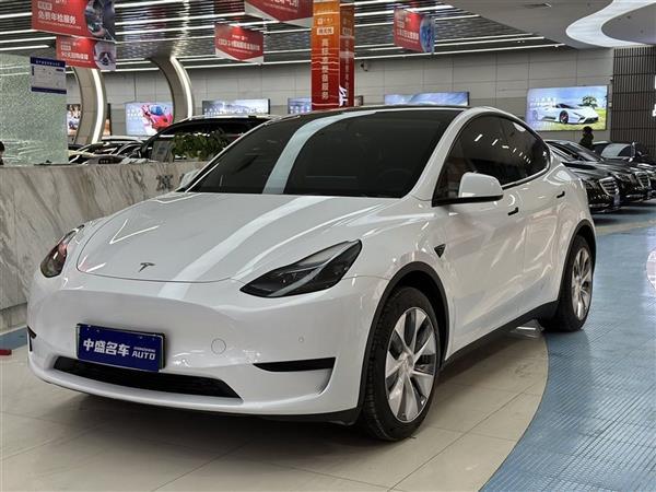 Model Y 2022 Ŀ 