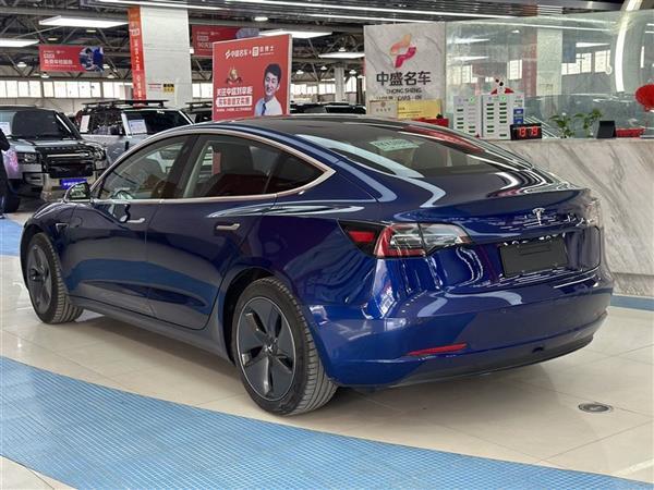 Model 3() 2019 ׼