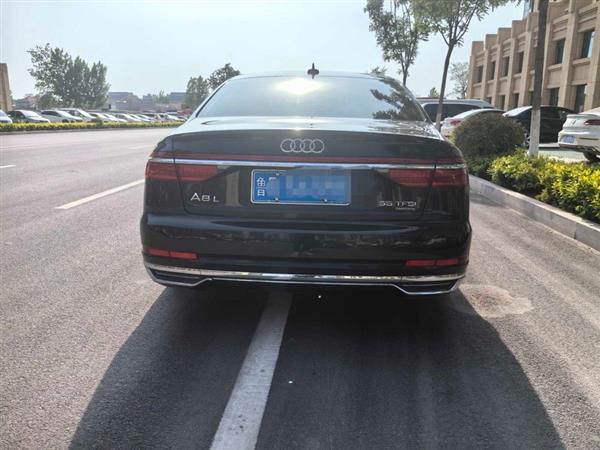 µA8 2018 A8L 55 TFSI quattroͶŰ澫Ӣ