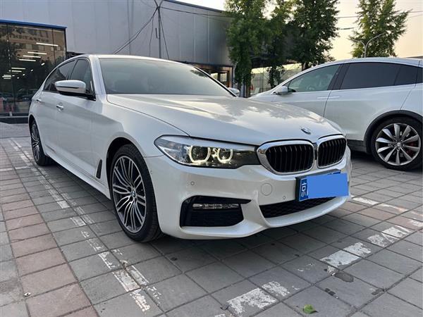 5ϵ 2018 Ŀ 530Li  M˶װ