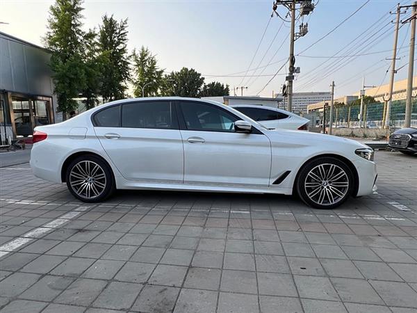 5ϵ 2018 Ŀ 530Li  M˶װ