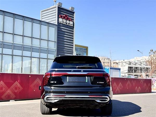 E-HS9 2021 460km  