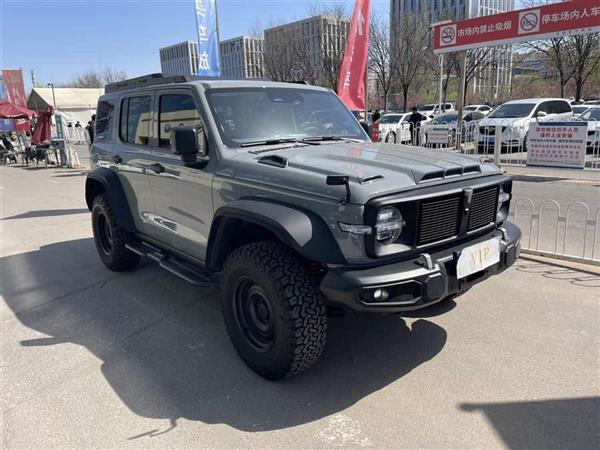 ̹300 2021 2.0T 