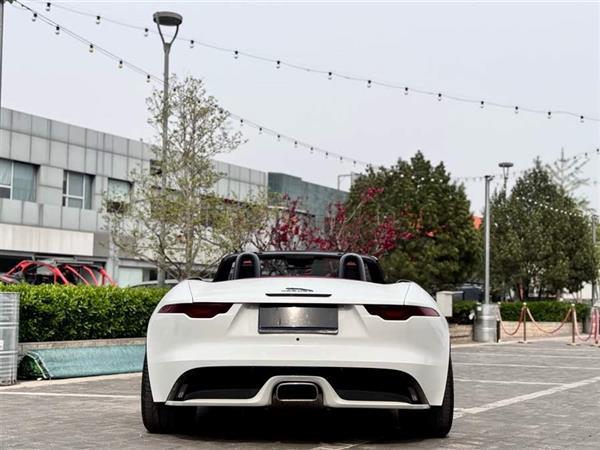 ݱF-TYPE 2024 P300 75س