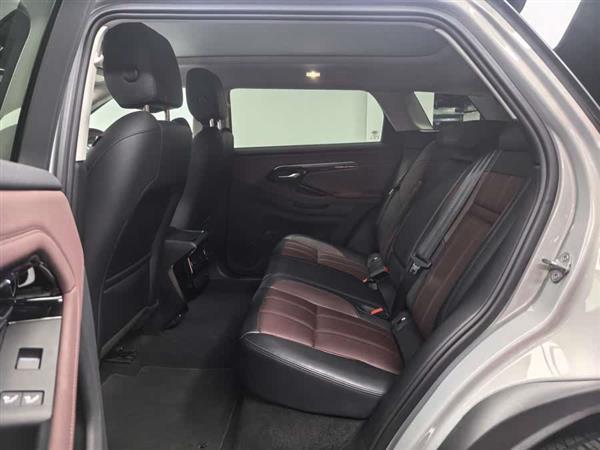 ʤԴ 2022 L P300e ʽ綯ϰ