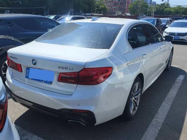 5ϵ 2020 525Li M˶װ