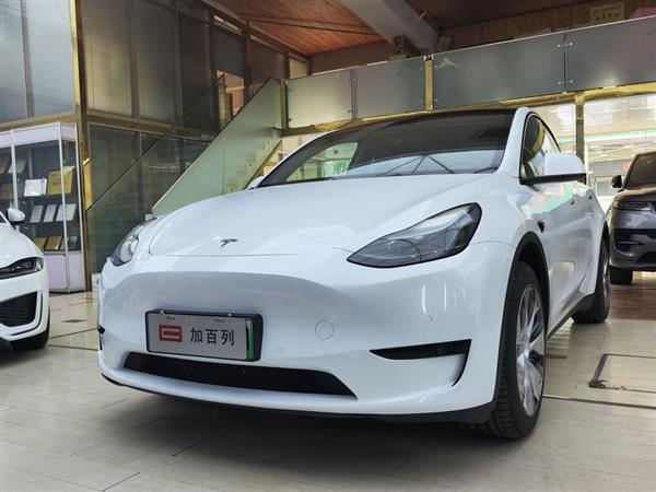 Model Y 2022 Ŀ 
