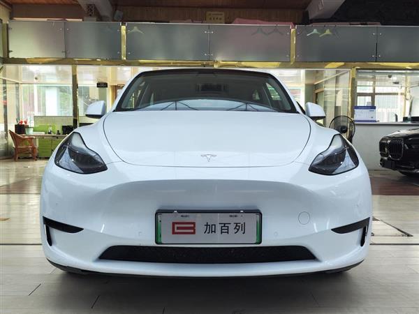 Model Y 2022 Ŀ 
