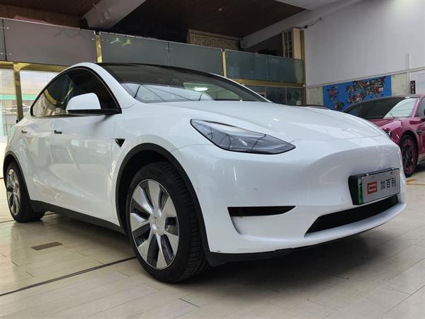 Model Y 2022 Ŀ 