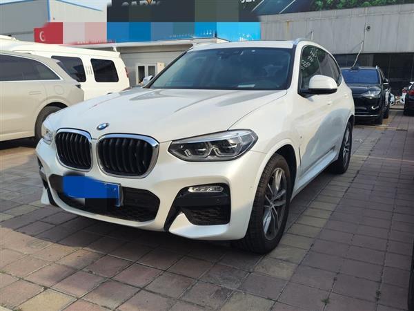 X3 2018 xDrive25i M˶װ VI