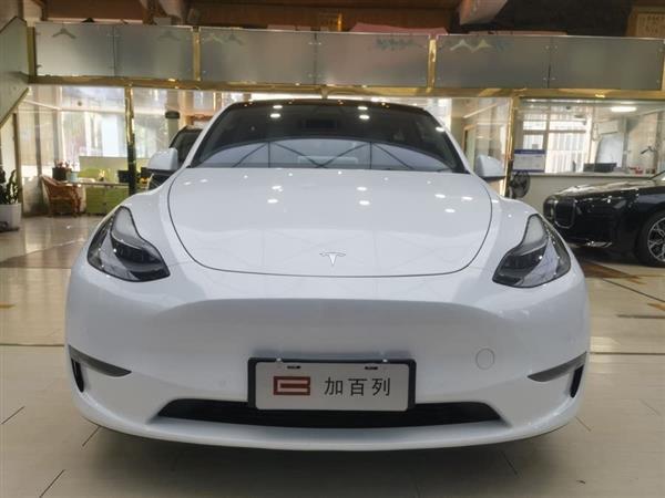 Model Y 2022 Performanceȫ