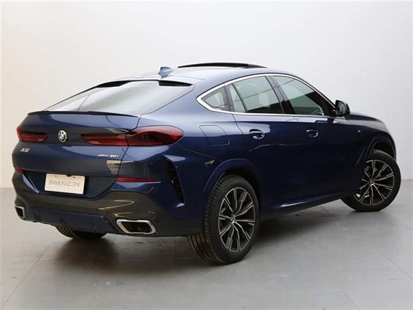X6 2021 xDrive30i M˶װ