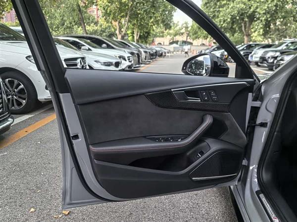 µRS 4 2019  RS 4 2.9T Avant