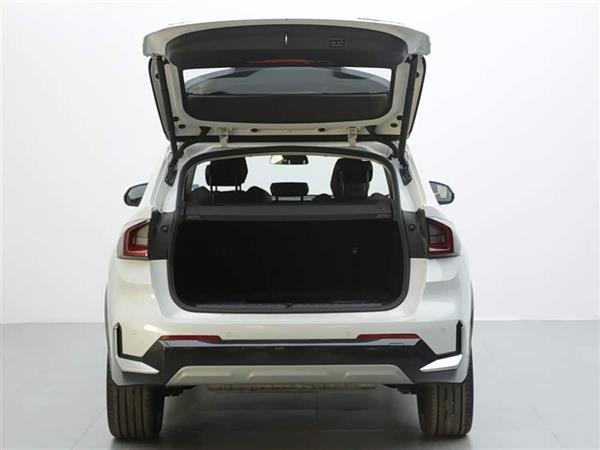 X1 2023 xDrive25Li Xװ