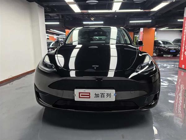 Model Y 2021 ׼