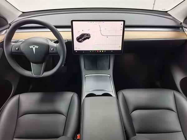 Model Y 2021 ׼