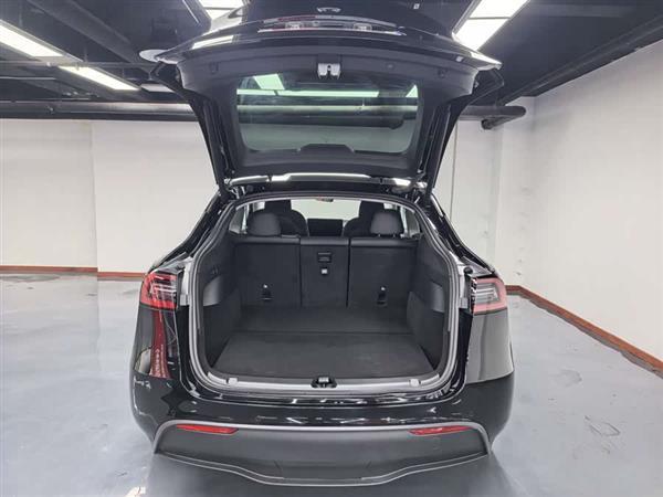 Model Y 2021 ׼