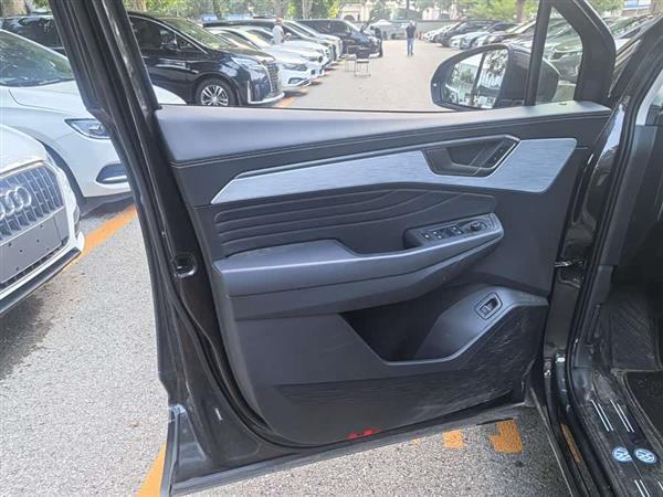  2024 380TSI ѾPro 6