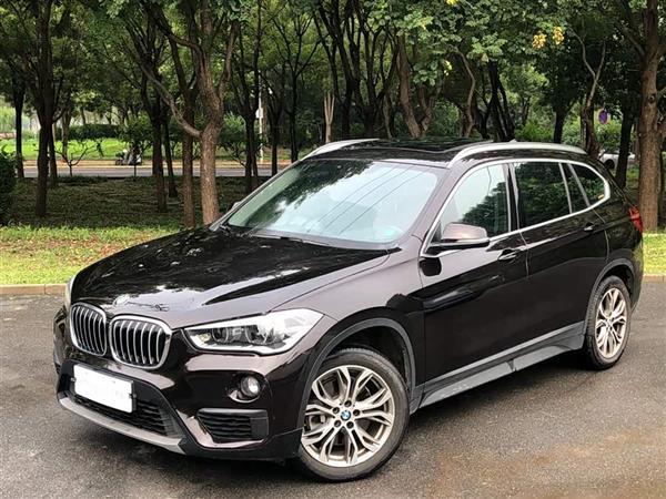 X1 2019 sDrive20Li 