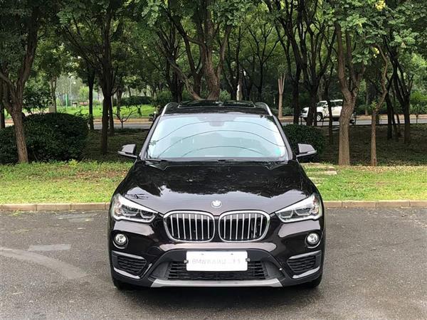 X1 2019 sDrive20Li 