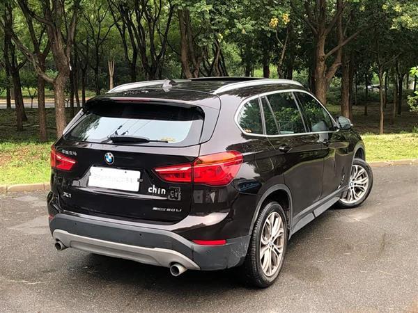 X1 2019 sDrive20Li 