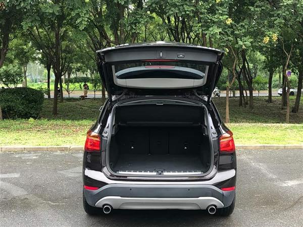 X1 2019 sDrive20Li 