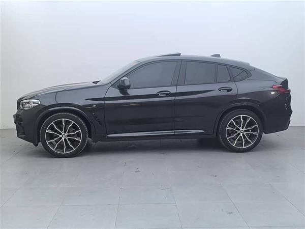 X4 2021 xDrive 25i M˶װ