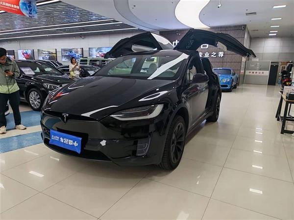 Model X 2017 Model X 100D 