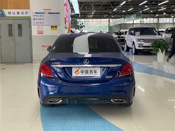 C 2019 C 260 ˶