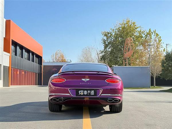 ŷ½ 2022 4.0T GT V8