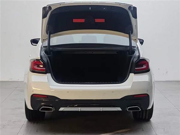 ����5ϵ 2021�� 530Li ������ M�˶���װ