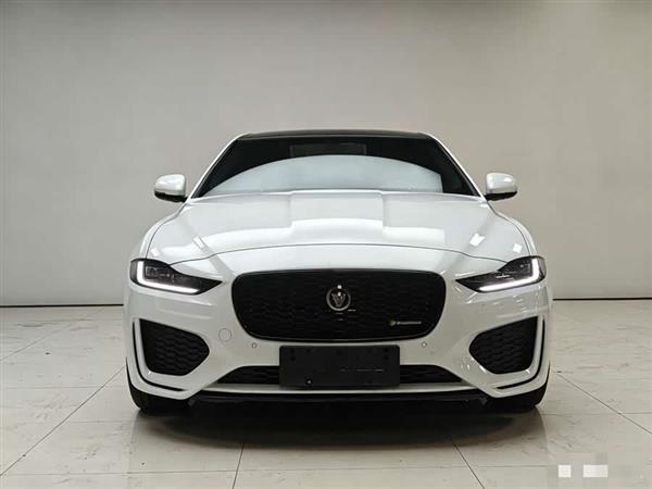 �ݱ�XEL 2021�� 2.0T 250PS �׺��˶���