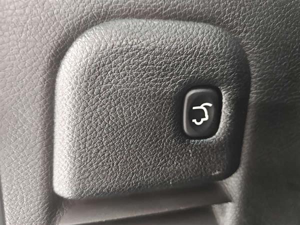 ����ŵ��(����) 2020�� 3.0L ��Ӣ������