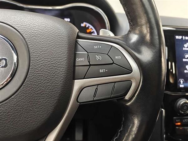 ����ŵ��(����) 2020�� 3.0L ��Ӣ������