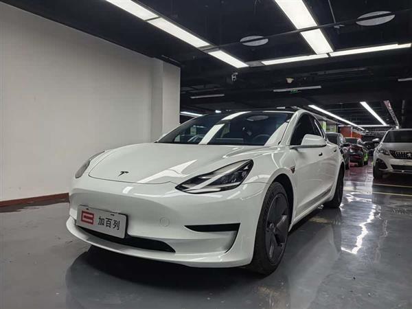 Model 3 2020�� ��׼��������������