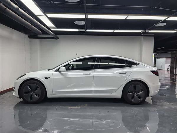 Model 3 2020�� ��׼��������������