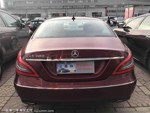 CLS 2012 CLS 300 CGI