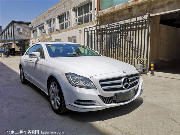  2013 CLS CLS300 CGI