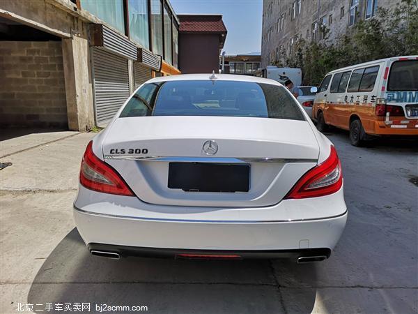  2013 CLS CLS300 CGI