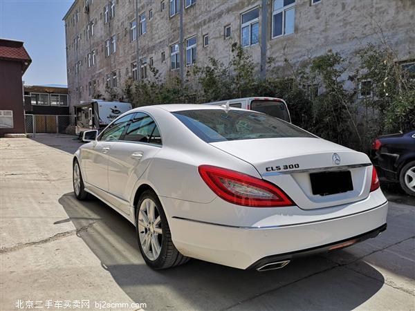  2013 CLS CLS300 CGI
