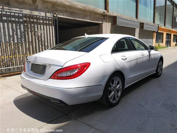 2013 CLS CLS300 CGI